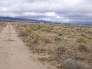 2.5 acres for sale in West Lancaster, California