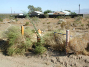 LACountyLand.com  [CLICK] to enlarge.