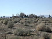 Neighboring homes. Click to enlarge image. 