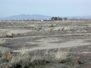 Looking Northbound at more homes. Click to enlarge image. 